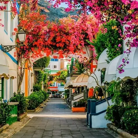 Konukevi Gran Canaria Palmas Mogán